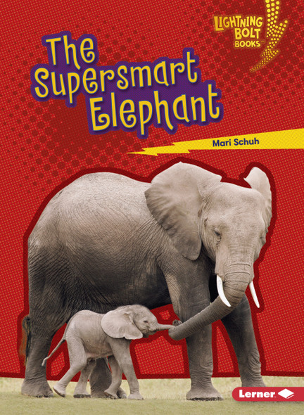 The Supersmart Elephant (Paperback)