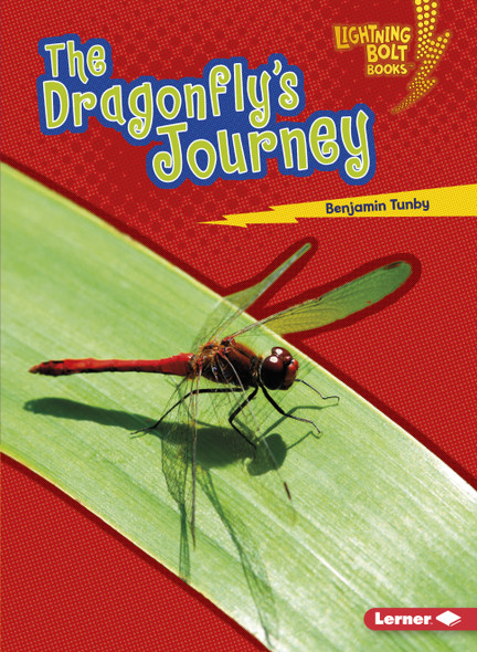 The Dragonfly's Journey (Paperback)
