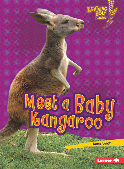 Meet a Baby Kangaroo (Paperback)