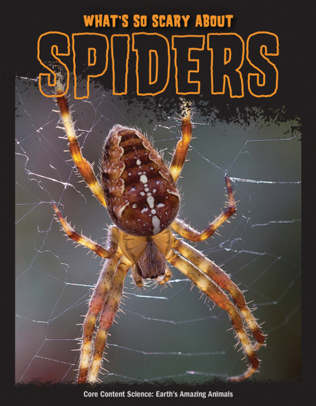 What's So Scary about Spiders? (Paperback)