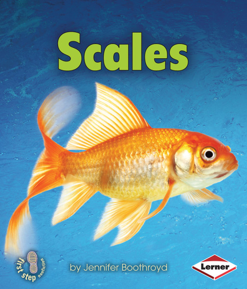 Scales (Paperback) by Jennifer Boothroyd