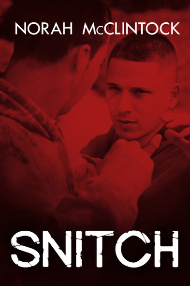 Snitch (Paperback) Orca Book Publishers