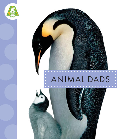 Animal Dads by Amicus (Paperback)