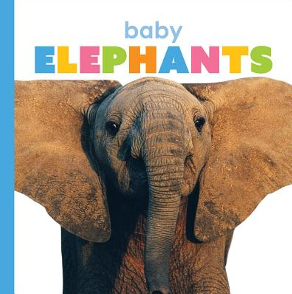 Baby Elephants (Library Binding)