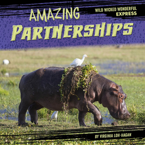 Amazing Partnerships (Paperback)