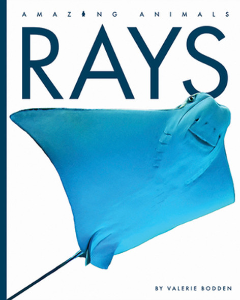 Rays (Paperback)