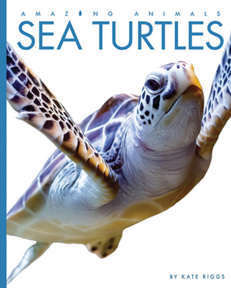 Sea Turtles (Paperback)