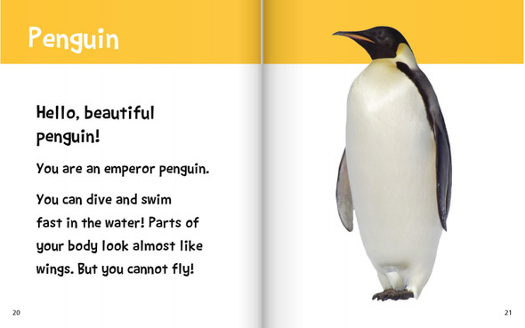Hello, Beautiful! Feathered Animals (Hardcover)