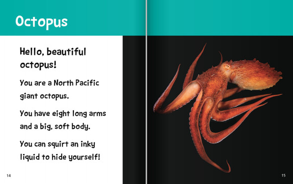 Hello, Beautiful! Water Animals (Hardcover)
