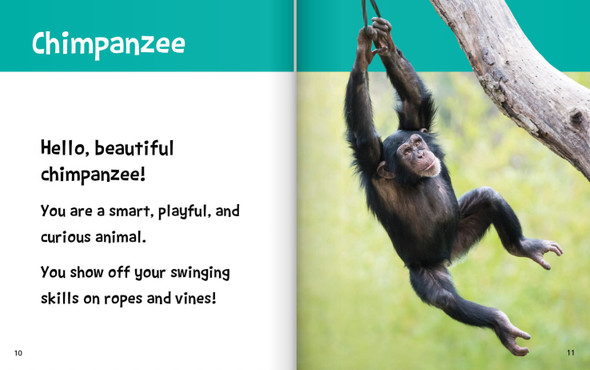 Hello, Beautiful! Zoo Animals (Hardcover)