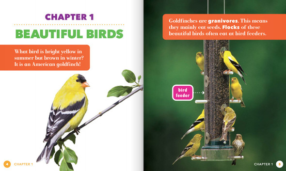Science Behind the Colors: Goldfinches (Hardcover)