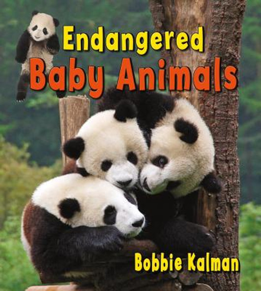 Endangered Baby Animals (Paperback)