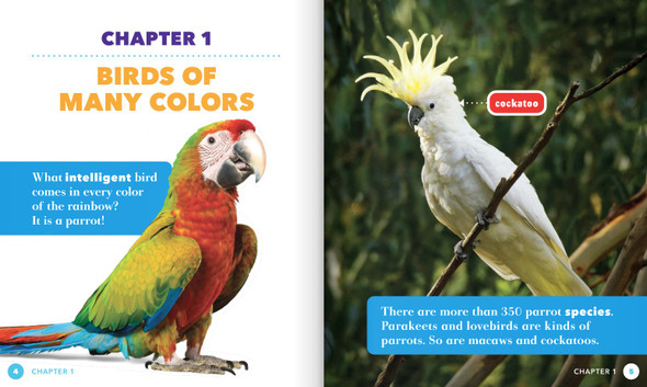 Science Behind the Colors: Parrots (Hardcover)