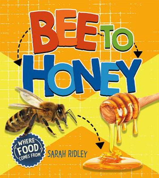 Bee to Honey (Library Binding)