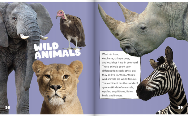 Curiosity Encyclopedia: Animal Worlds (Hardcover)