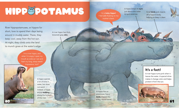 Curiosity Encyclopedia: Animal Worlds (Hardcover)