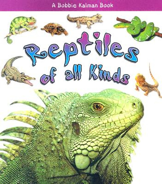 Reptiles of All Kinds (Paperback)