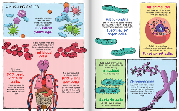 Building Blocks of Animals & Plants: The Cell Cycle (Hardcover)
