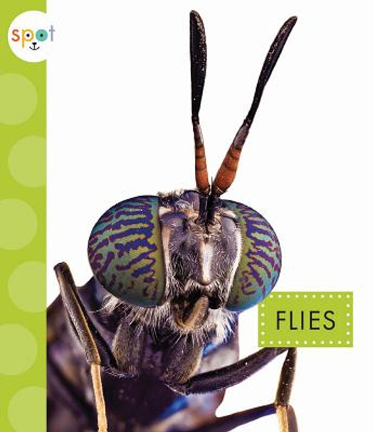 Flies (Paperback)