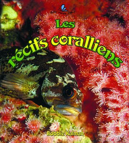 Les Récifs Coralliens (Coral Reef Food Chains) (Paperback)