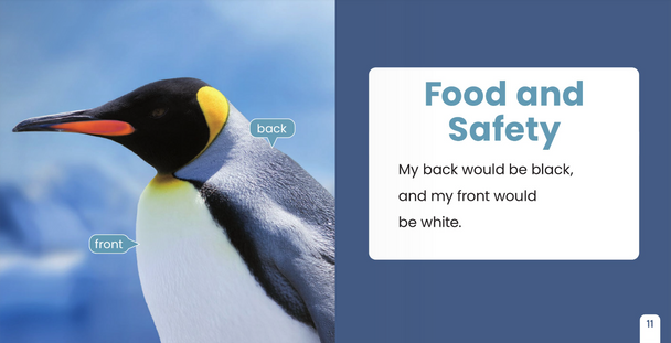 If I Were an Animal: If I Were A Penguin (Hardcover)