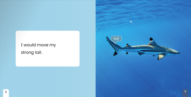 If I Were an Animal: If I Were A Shark (Hardcover)