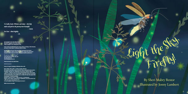Light The Sky, Firefly (Hardcover)