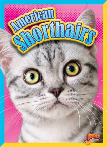 American Shorthairs (Paperback)