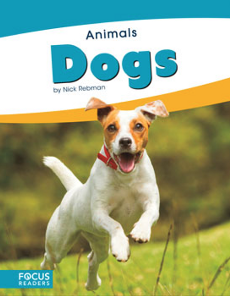 Animals - 10 Titles  (Paperback)