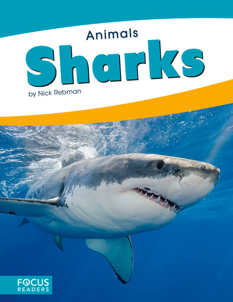 Animals - 10 Titles  (Paperback)