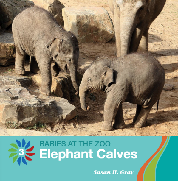 Babies at the Zoo - 10 Titles  (Paperback)