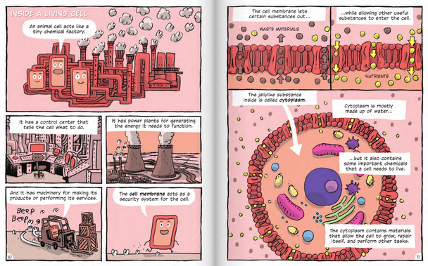 Building Blocks of the Human Body: Cells to Organ Systems (Paperback)