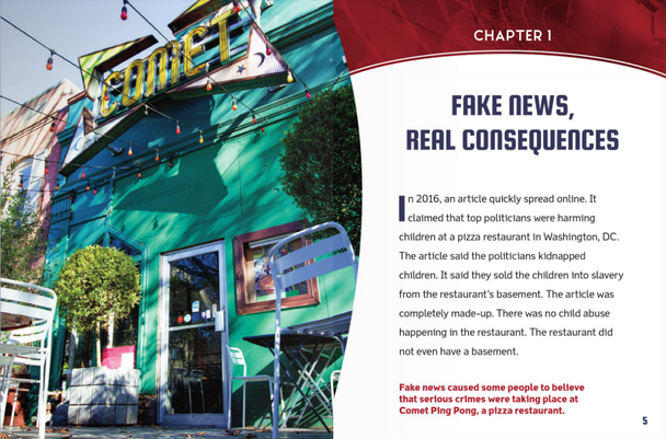 Focus on Media: Fake News in Focus (Paperback)