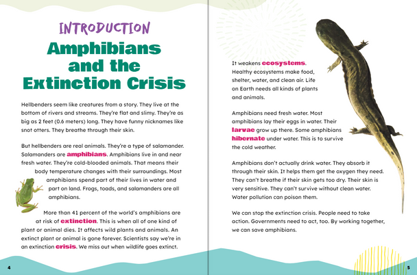 Take Action: Save Amphibians (Paperback)