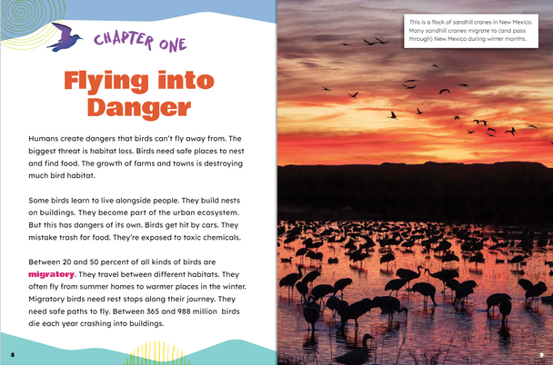 Take Action: Save Birds (Paperback)