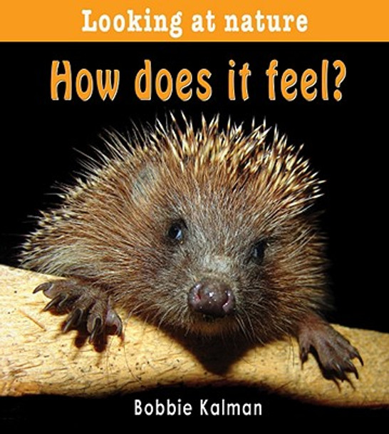 How Does It Feel? (Paperback)