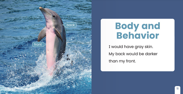 If I Were an Animal: If I Were A Dolphin (Paperback)