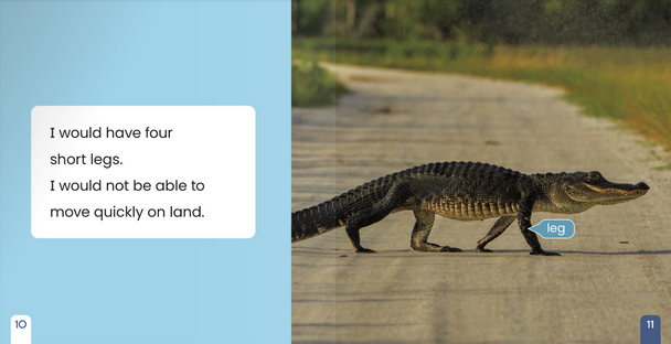 If I Were an Animal: If I Were An Alligator (Paperback)