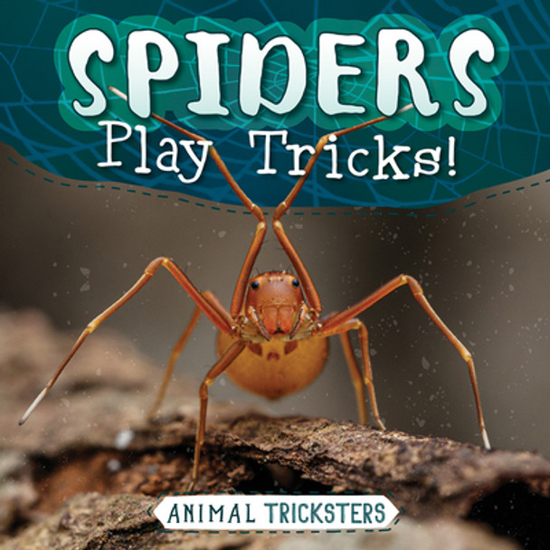 Spiders Play Tricks! (Library Binding)