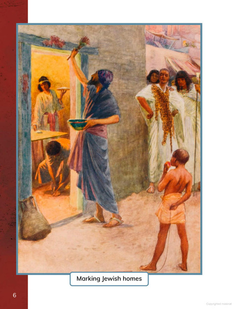 Traditions & Celebrations: Passover (Hardcover)