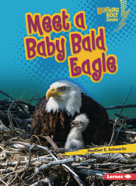 Meet a Baby Bald Eagle (Paperback)