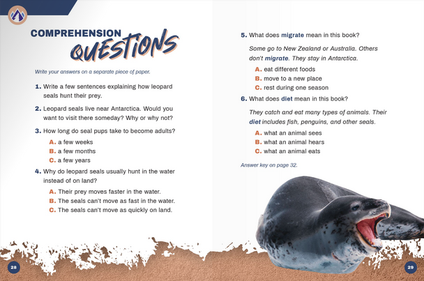 Predators: Leopard Seals (Paperback)