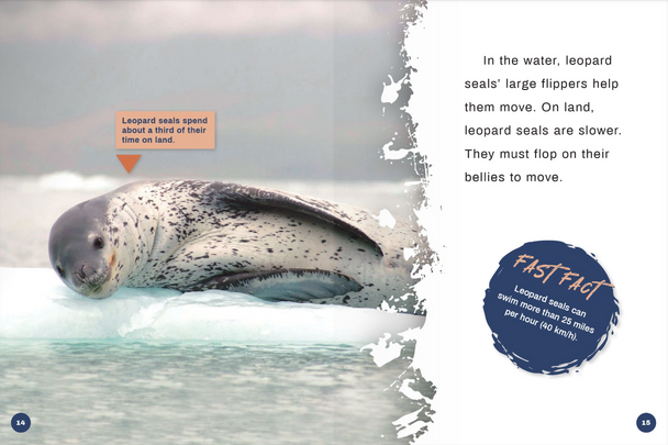 Predators: Leopard Seals (Paperback)