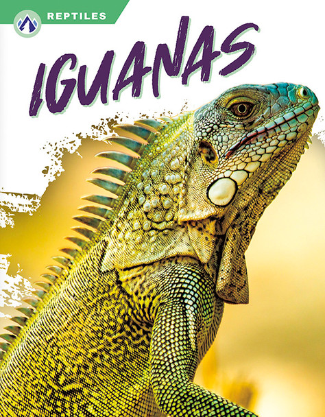 Reptiles - Set of 8 (Paperback)