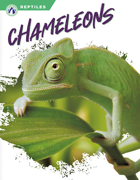 Reptiles - Set of 8 (Paperback)