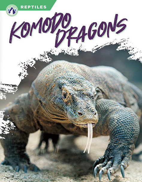 Reptiles - Set of 8 (Paperback)