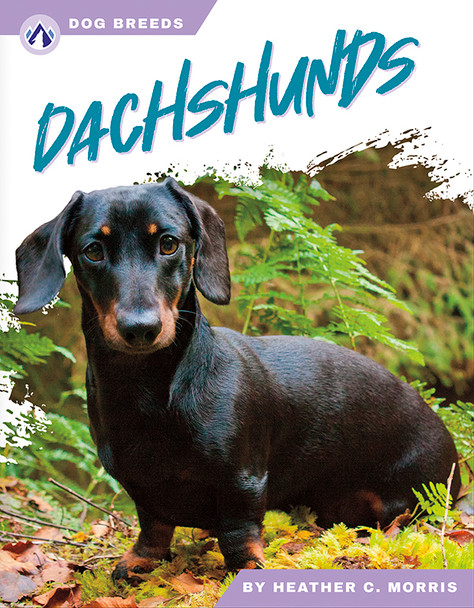 Dog Breeds: Dachshunds (Hardcover)