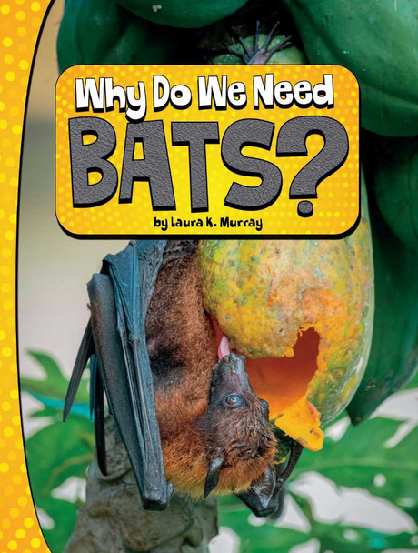 Why Do We Need Bats? (Paperback)