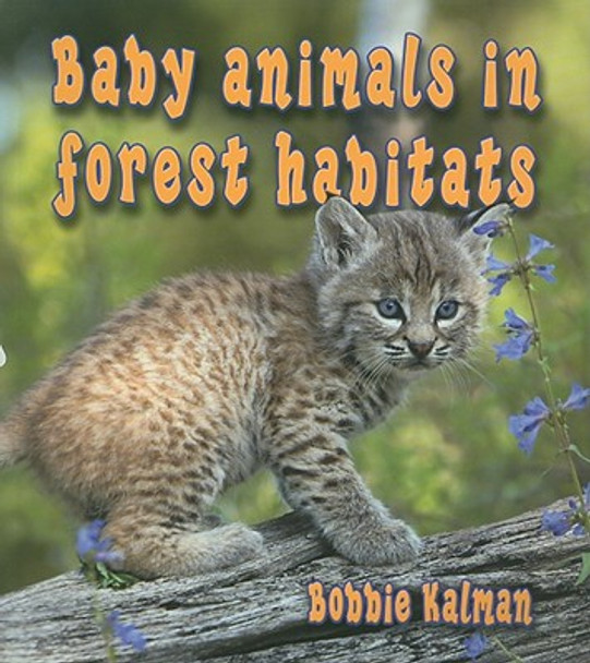 Baby Animals in Forest Habitats (Paperback)