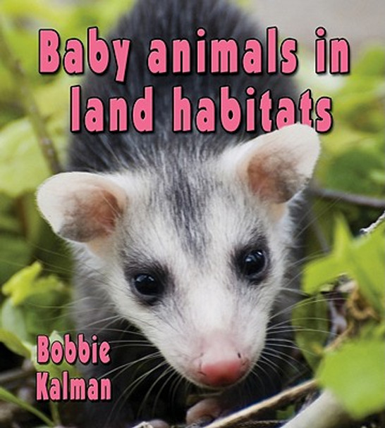 Baby Animals in Land Habitats (Paperback)